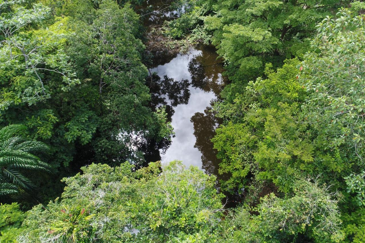 Hope Garden, Sarapiqui, We Connect You With The Sarapiqui Tropical Forest Eksteriør bilde