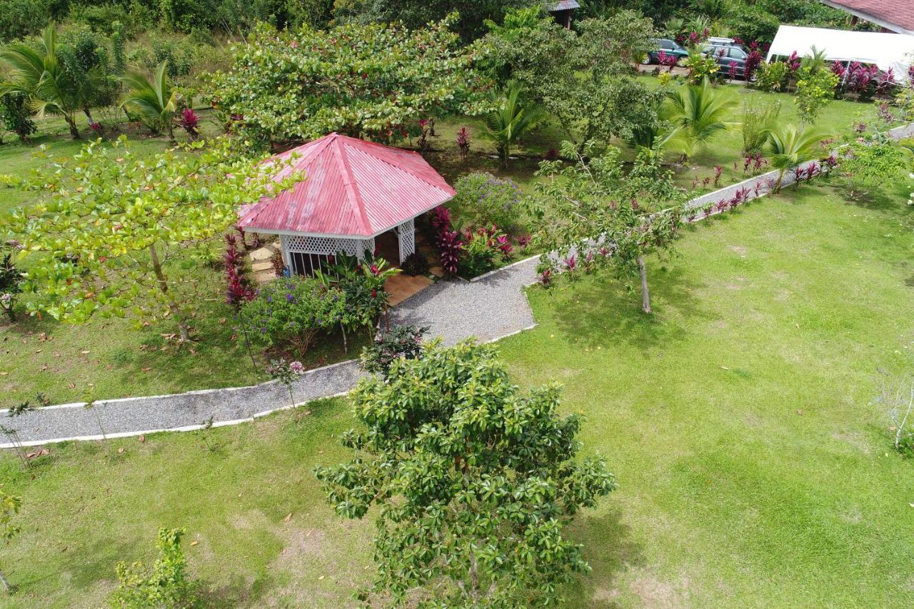 Hope Garden, Sarapiqui, We Connect You With The Sarapiqui Tropical Forest Eksteriør bilde