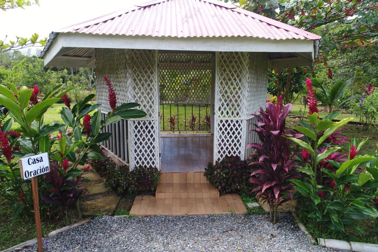 Hope Garden, Sarapiqui, We Connect You With The Sarapiqui Tropical Forest Eksteriør bilde