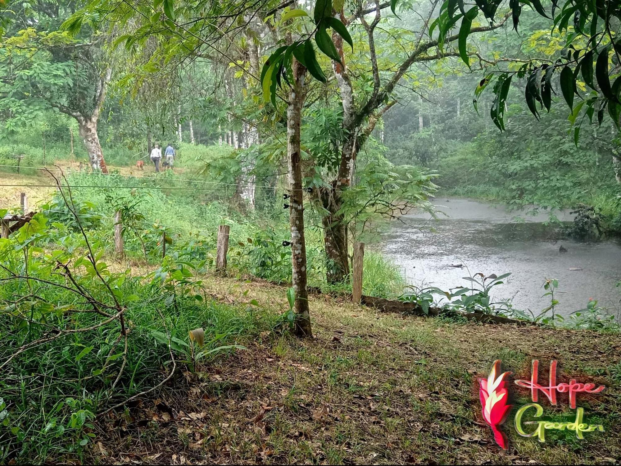 Hope Garden, Sarapiqui, We Connect You With The Sarapiqui Tropical Forest Eksteriør bilde