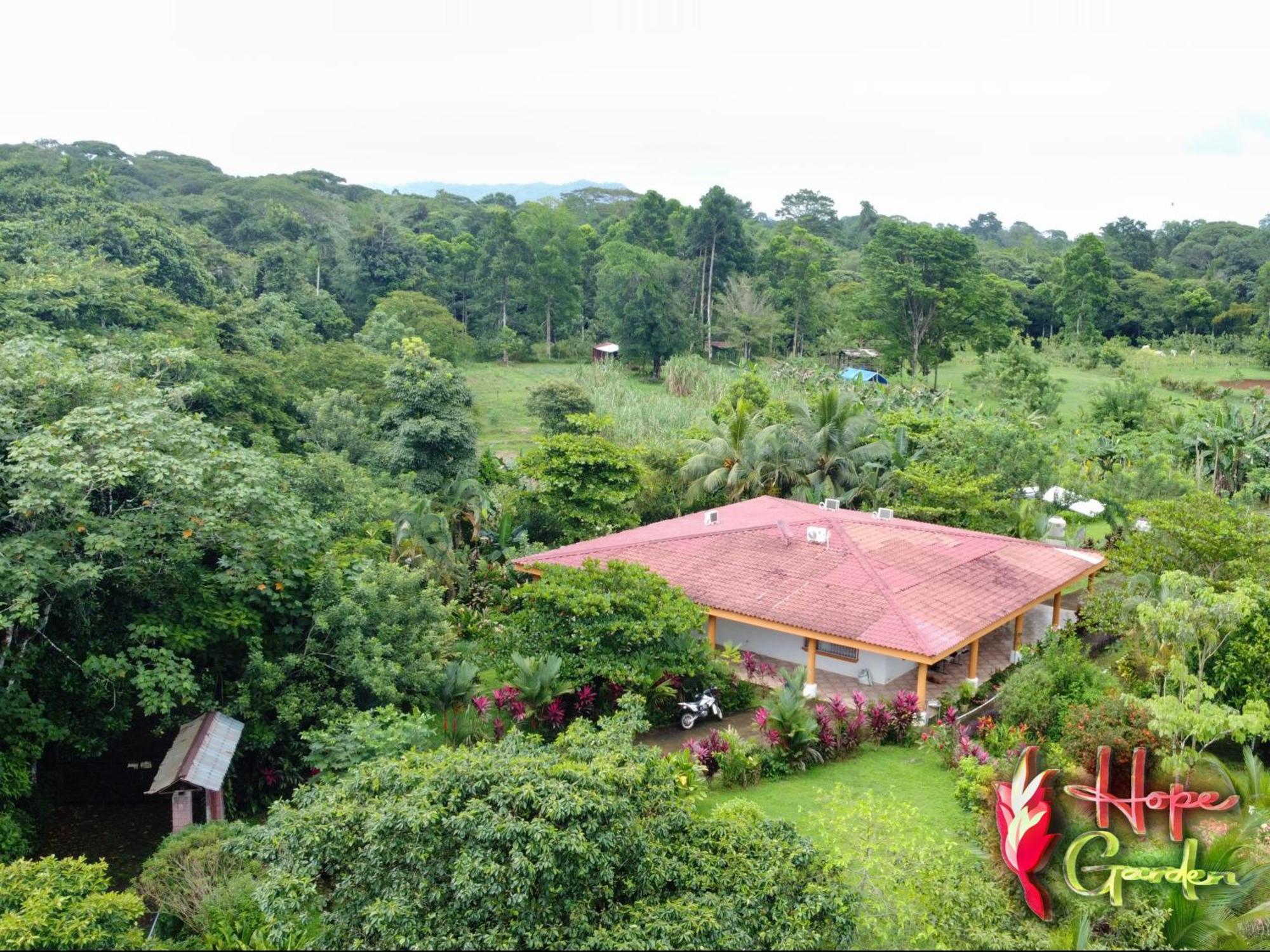 Hope Garden, Sarapiqui, We Connect You With The Sarapiqui Tropical Forest Eksteriør bilde