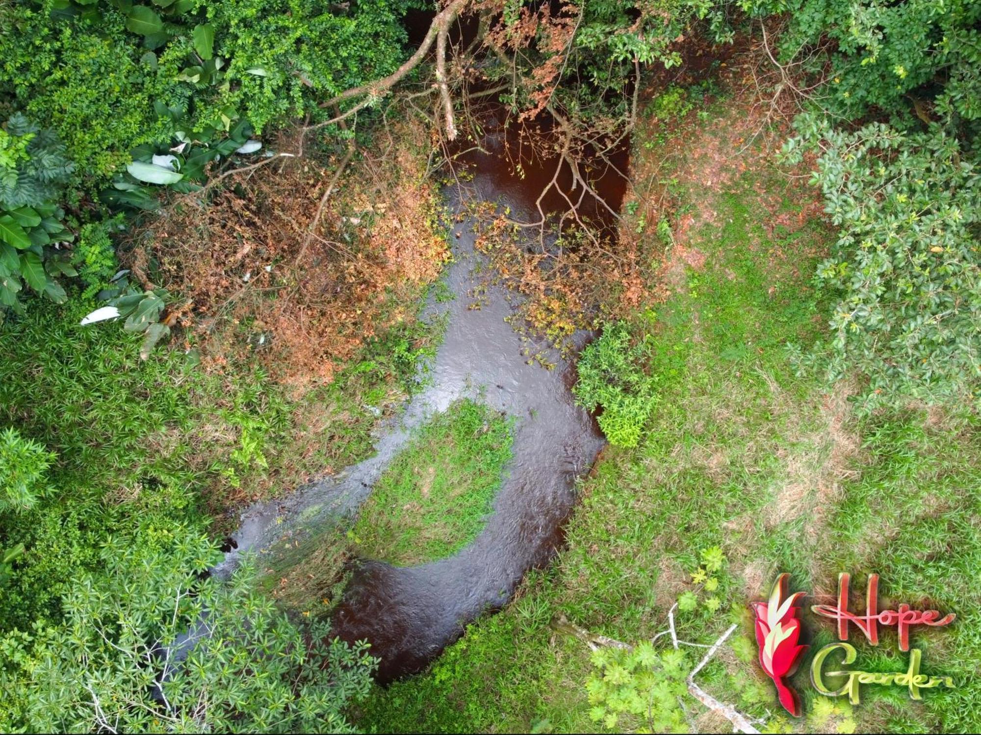 Hope Garden, Sarapiqui, We Connect You With The Sarapiqui Tropical Forest Eksteriør bilde