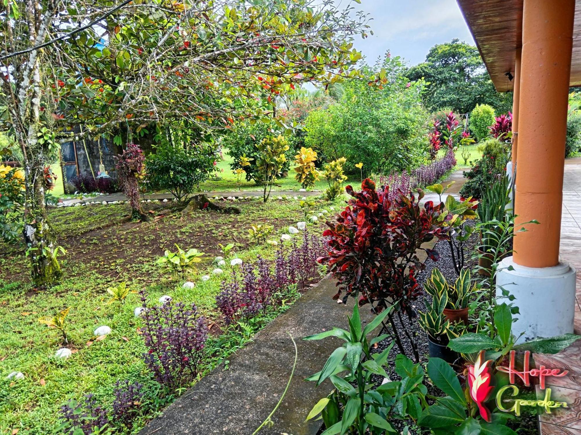 Hope Garden, Sarapiqui, We Connect You With The Sarapiqui Tropical Forest Eksteriør bilde